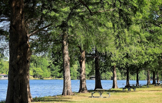 City of Austin Struggles to Sustain Green Spaces Amid Funding Shortages, Austin Officials Weigh in on Bond Utilization