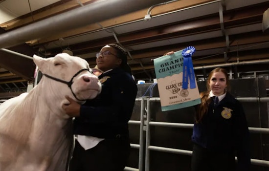 Clear Creek ISD Readies for 42nd Annual Livestock Show and Auction in Houston Area