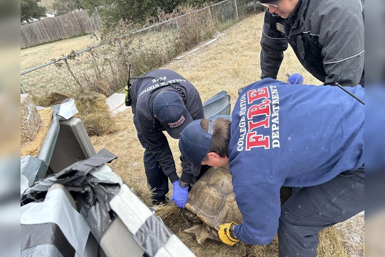 College Station Firefighters Swiftly Rescue 150-Pound Tortoise from Cold Snap's Grip