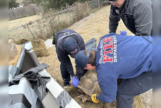 College Station Firefighters Swiftly Rescue 150-Pound Tortoise from Cold Snap's Grip