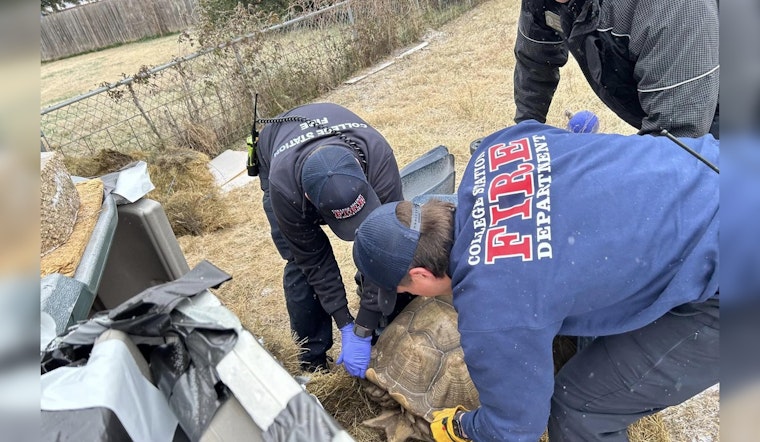 College Station Firefighters Swiftly Rescue 150-Pound Tortoise from Cold Snap's Grip