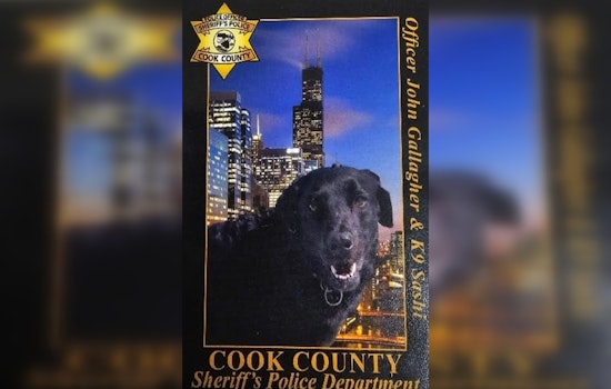 Cook County Police Department Honors the Legacy of Beloved K9 Sashi, A Devoted Bomb-Sniffing Canine