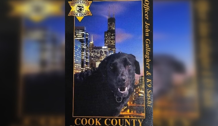 Cook County Police Department Honors the Legacy of Beloved K9 Sashi, A Devoted Bomb-Sniffing Canine
