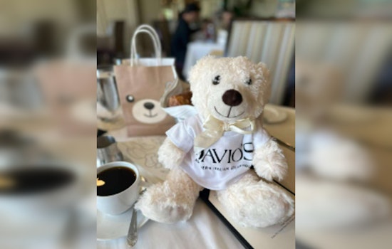Davio’s Chestnut Hill Hosts Teddy Bear Brunch with Celebrity Guests