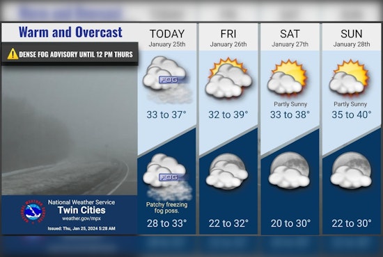 Dense Fog Advisory Issued in Minneapolis Amid Freezing Conditions, Travelers Advised Caution