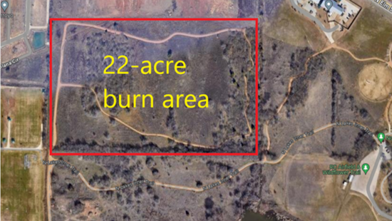 Denton Fire Department Plans Controlled Burn at North Lakes Park to Revitalize Prairie