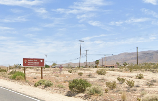 Desert Mystery, Skeletal Remains Uncovered in Joshua Tree National Park