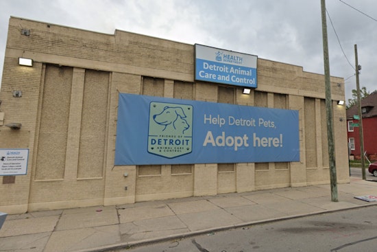 Detroit Animal Control Mandates Winter Pet Safety, Warns Neglect Could Result in Legal Action