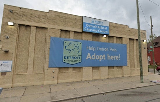 Detroit Animal Control Mandates Winter Pet Safety, Warns Neglect Could Result in Legal Action
