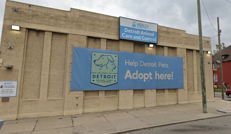 Detroit Animal Control Mandates Winter Pet Safety, Warns Neglect Could Result in Legal Action