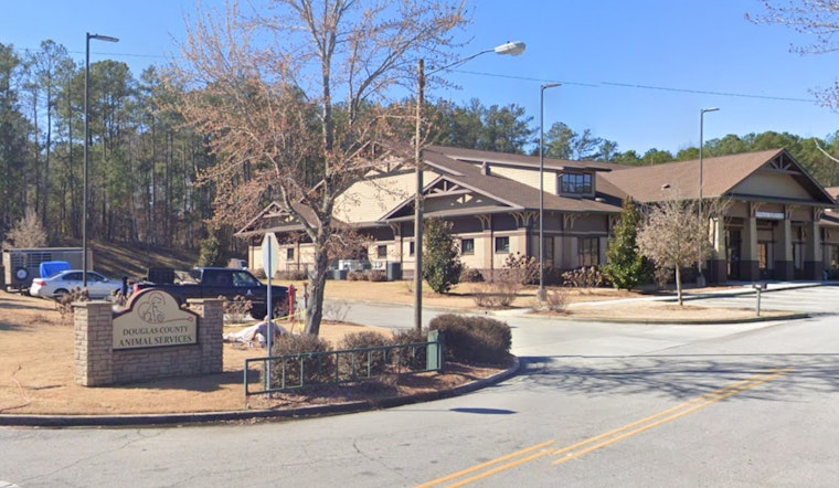 Dog Pneumonia Outbreak Triggers Quarantine at Douglas County Animal Shelter in Georgia