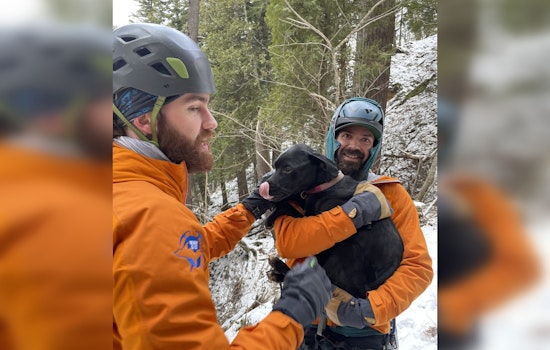 Dog Survives 60-Foot Fall at Pictured Rocks in Michigan, Rescued by Volunteer Heroes