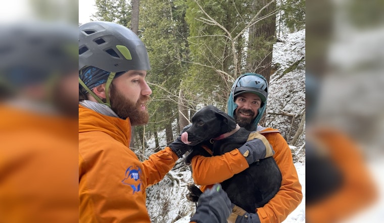 Dog Survives 60-Foot Fall at Pictured Rocks in Michigan, Rescued by Volunteer Heroes