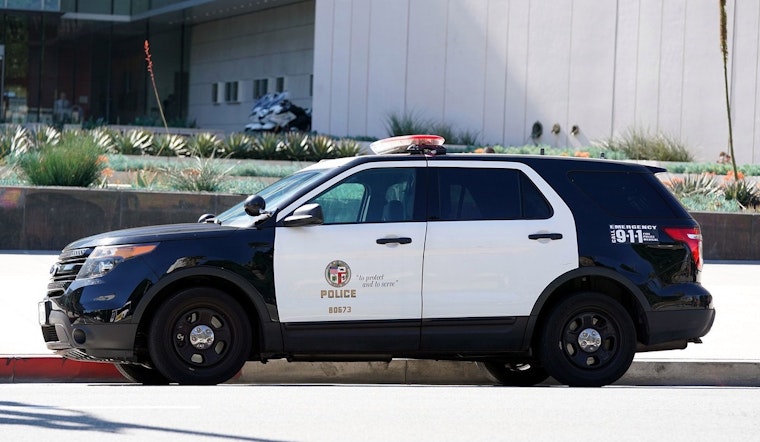 Dognapped in Broad Daylight, Woman Clings to Car in Daring LA Pursuit of Snatched Frenchie
