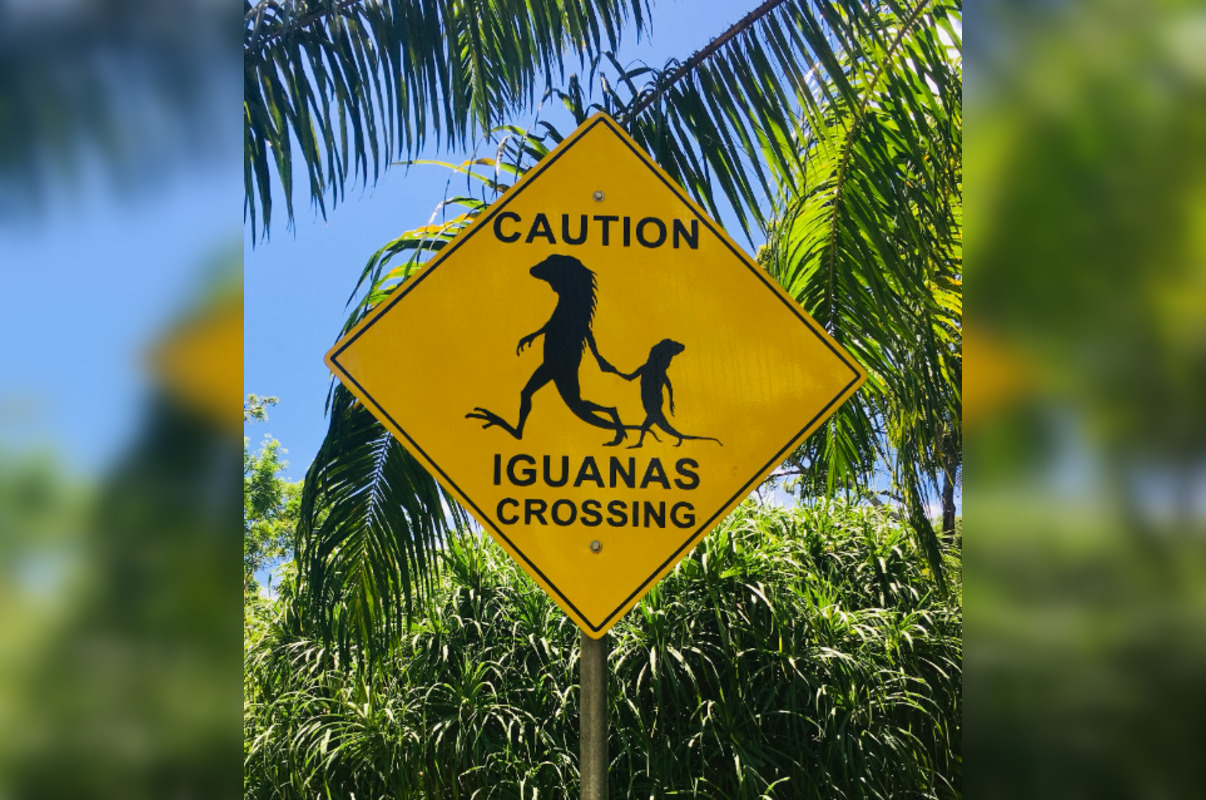 FHWA Orders Removal of Humorous Road Signs in Arizona Despite Local