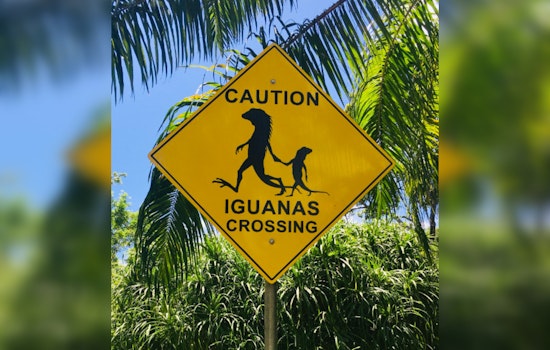FHWA Orders Removal of Humorous Road Signs in Arizona Despite Local Fondness and Tradition
