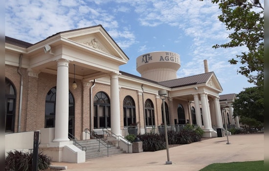 Fire Ants Inspire Breakthrough Technology at Texas A&M for Future Medical and Robotic Marvels