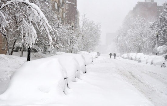 First Cold-Related Death in Cook County as Brutal Winter Storm Ravages Northern U.S.; Campaigns and Migrant Transports Disrupted