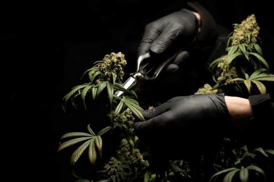Five Arrested in Adelanto for Alleged Execution-Style Killings Over Marijuana Deal