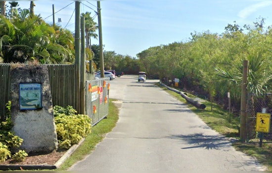 Florida Everglades Airboat Tour Ends in Crash Near Alligator Farm, Minor Injuries Reported