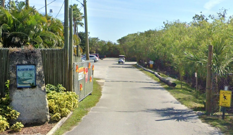 Florida Everglades Airboat Tour Ends in Crash Near Alligator Farm, Minor Injuries Reported