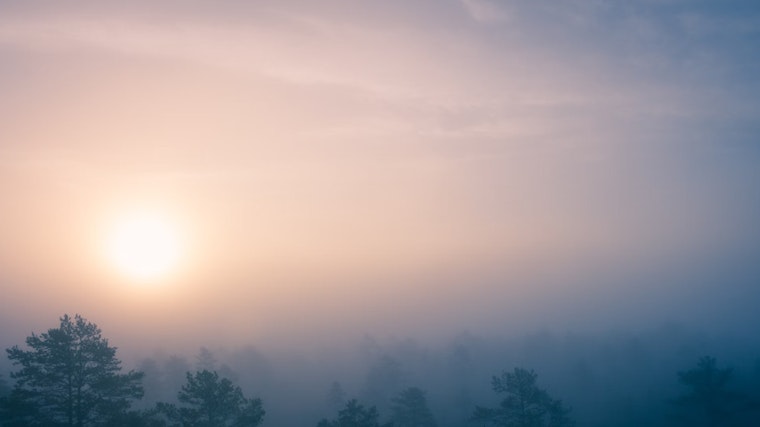 Foggy Mornings to Yield to Sunny Days with Temperatures in the 60s