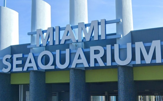 Former Vet Calls for Shutdown of Miami Seaquarium Amidst New USDA Violations and Unpaid Rent