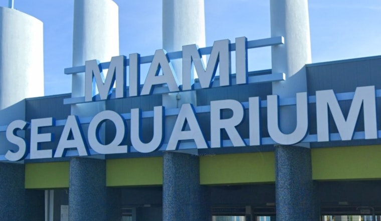 Former Vet Calls for Shutdown of Miami Seaquarium Amidst New USDA Violations and Unpaid Rent