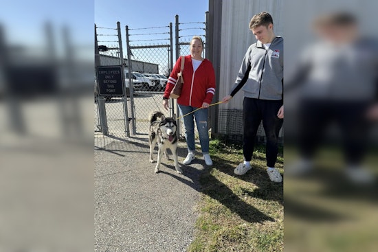 Fort Bend County Rallies to Provide Warm Foster Homes for Shelter Dogs During Freeze