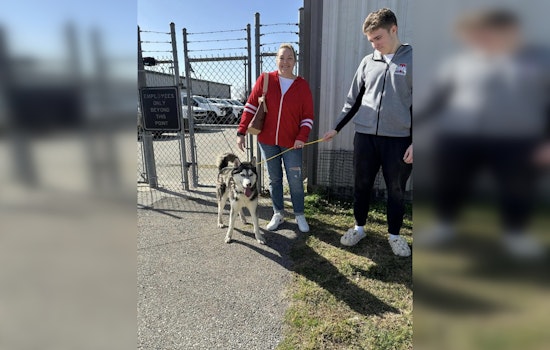 Fort Bend County Rallies to Provide Warm Foster Homes for Shelter Dogs During Freeze