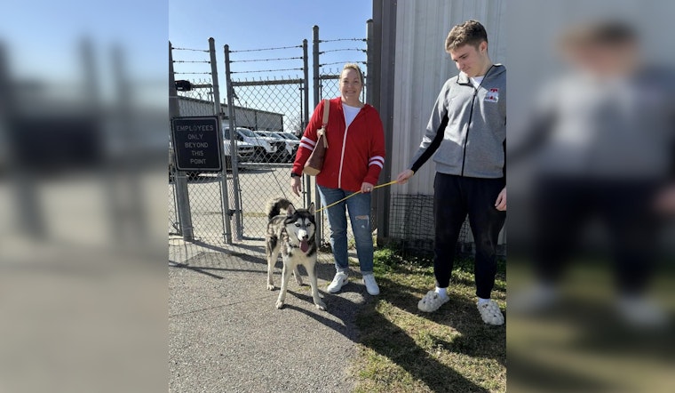 Fort Bend County Rallies to Provide Warm Foster Homes for Shelter Dogs During Freeze