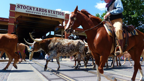 Fort Worth Stock Show & Rodeo Parade Route Redesigned After Downtown Hotel Explosion