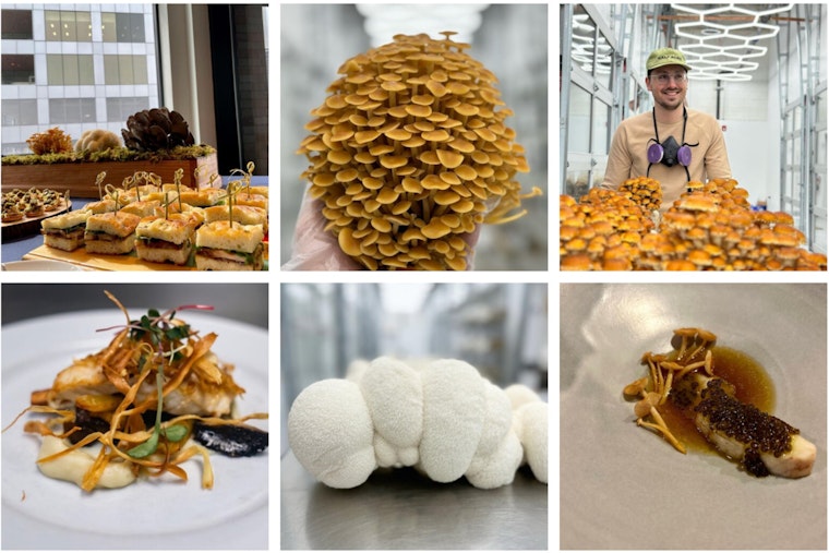 Four Star Mushrooms Fuels Chicago's Culinary Scene with Sustainable, Gourmet Fungi