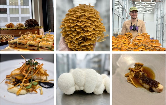Four Star Mushrooms Fuels Chicago's Culinary Scene with Sustainable, Gourmet Fungi
