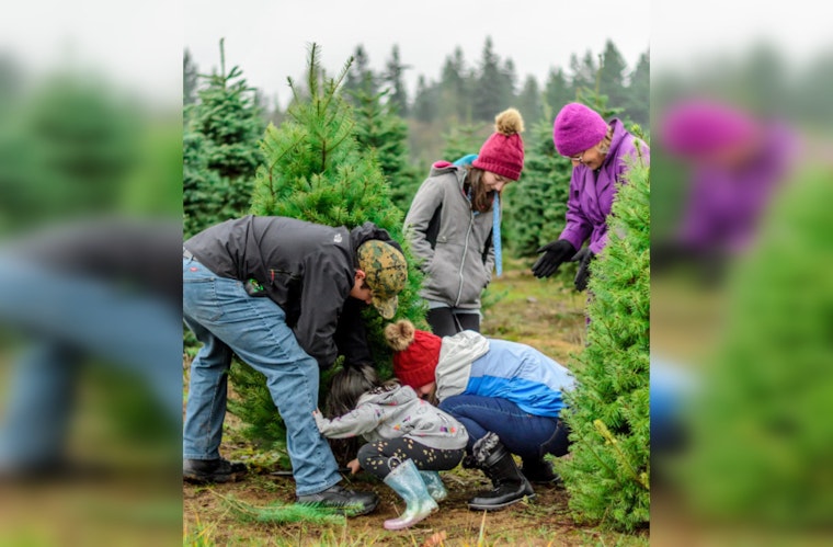 From Festive to Fish-Friendly, Texas and Missouri Turn Christmas Trees into Aquatic Habitats