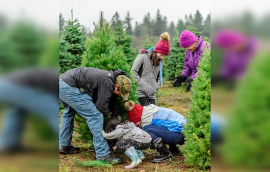 From Festive to Fish-Friendly, Texas and Missouri Turn Christmas Trees into Aquatic Habitats