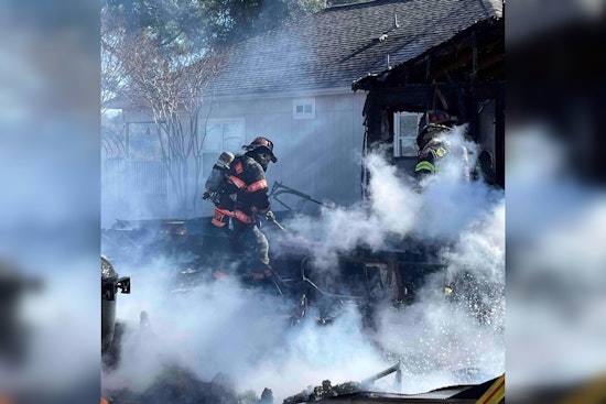 Georgetown Firefighters Rescue Four Dogs and an Iguana from Blazing Home Fire
