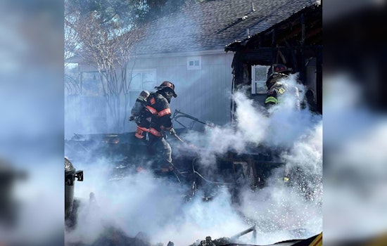 Georgetown Firefighters Rescue Four Dogs and an Iguana from Blazing Home Fire