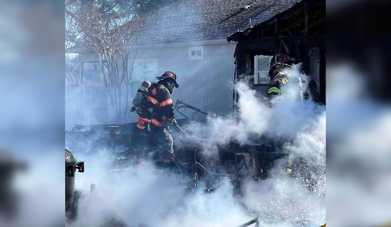 Georgetown Firefighters Rescue Four Dogs and an Iguana from Blazing Home Fire