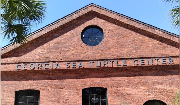 Georgia Girl with Spina Bifida Forms Inspiring Bond with Paralyzed Sea Turtle on Jekyll Island