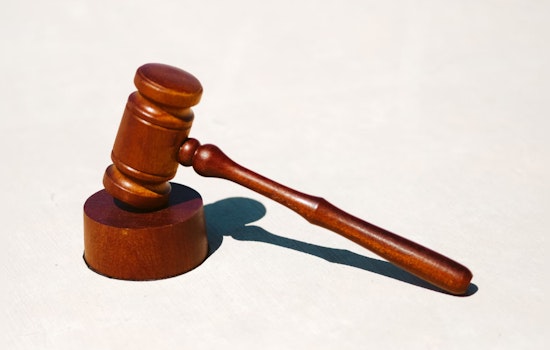 Georgia Judge Delays Trial of "Stop Cop City" Activist Ayla King Amid Speedy Trial Controversy