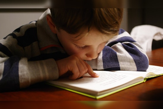 Georgia Proposes $11.3 Million Literacy Initiative to Train Teachers, Boost Students' Reading Skills