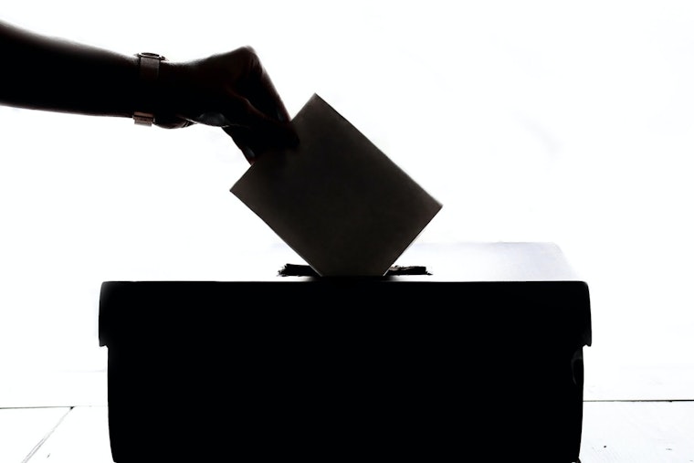 Georgia Voters Challenge State's Voting System Integrity in Federal Court