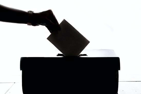 Georgia Voters Challenge State's Voting System Integrity in Federal Court