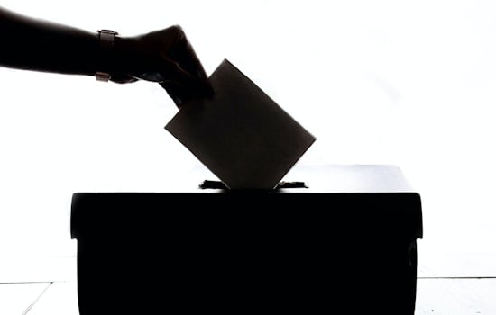 Georgia Voters Challenge State's Voting System Integrity in Federal Court