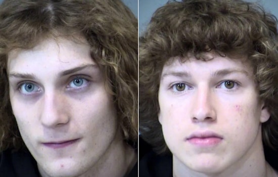 Gilbert Teenagers Arrested in Assault Cases as Police Uncover Separate Narcotics Operation
