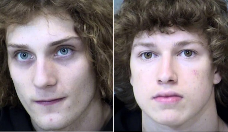 Gilbert Teenagers Arrested in Assault Cases as Police Uncover Separate Narcotics Operation