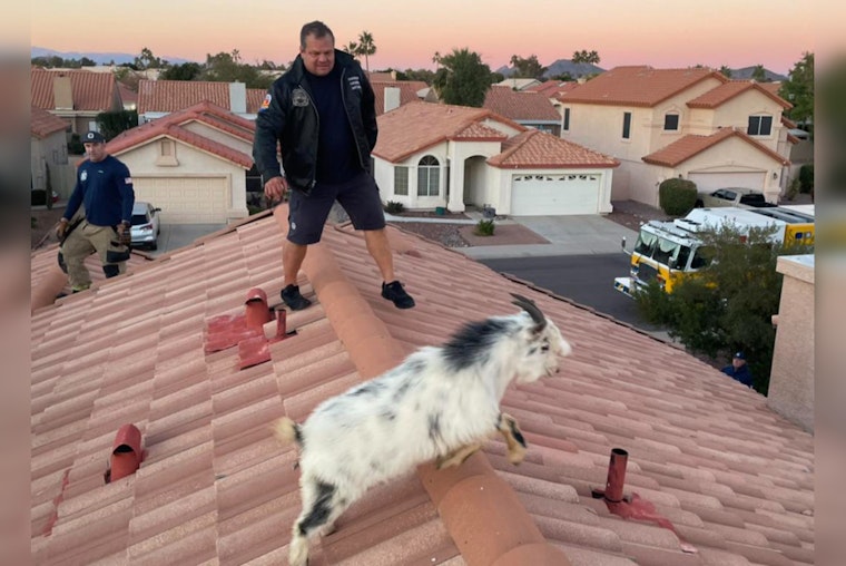 Glendale Fire Department Swaps Hoses for Hooves in Unconventional Goat Rescue