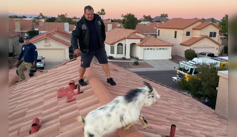 Glendale Fire Department Swaps Hoses for Hooves in Unconventional Goat Rescue