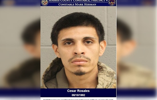 Harris County Deputies Arrest Man with Felony Warrant During Traffic Stop on Skybird Drive